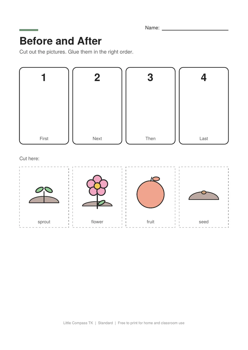 Printable worksheet with numbered boxes and cut-out pictures of a seed growing into a plant