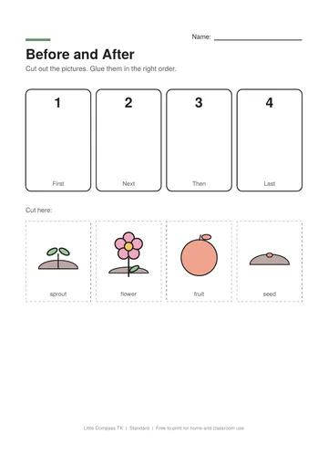Printable worksheet with numbered boxes and cut-out pictures of a seed growing into a plant