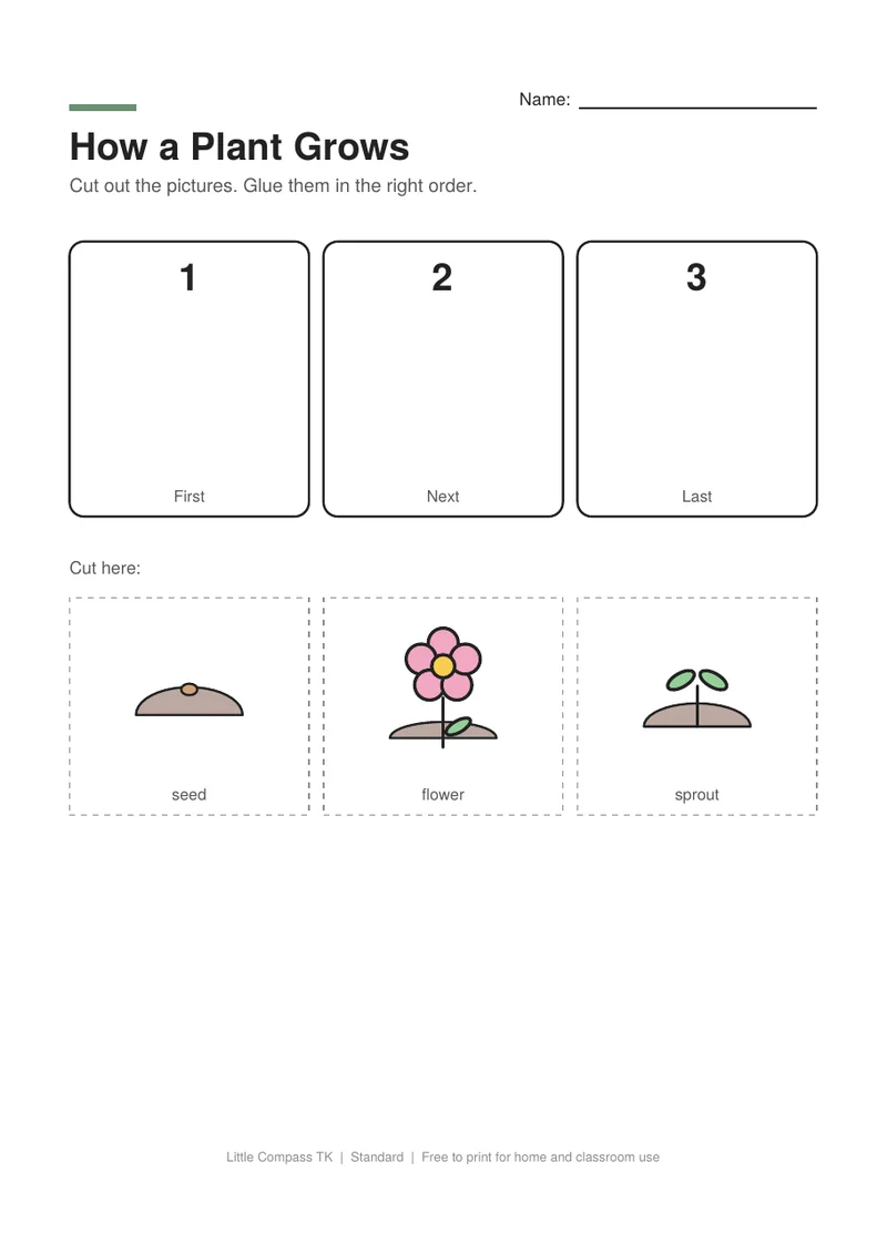 Printable worksheet with numbered boxes and cut-out seed, sprout and flower pictures to glue in order