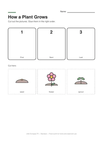 Printable worksheet with numbered boxes and cut-out seed, sprout and flower pictures to glue in order