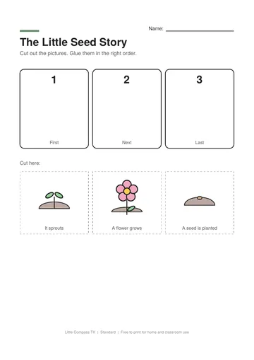 Printable worksheet with numbered boxes and cut-out pictures of a seed growing to glue in order